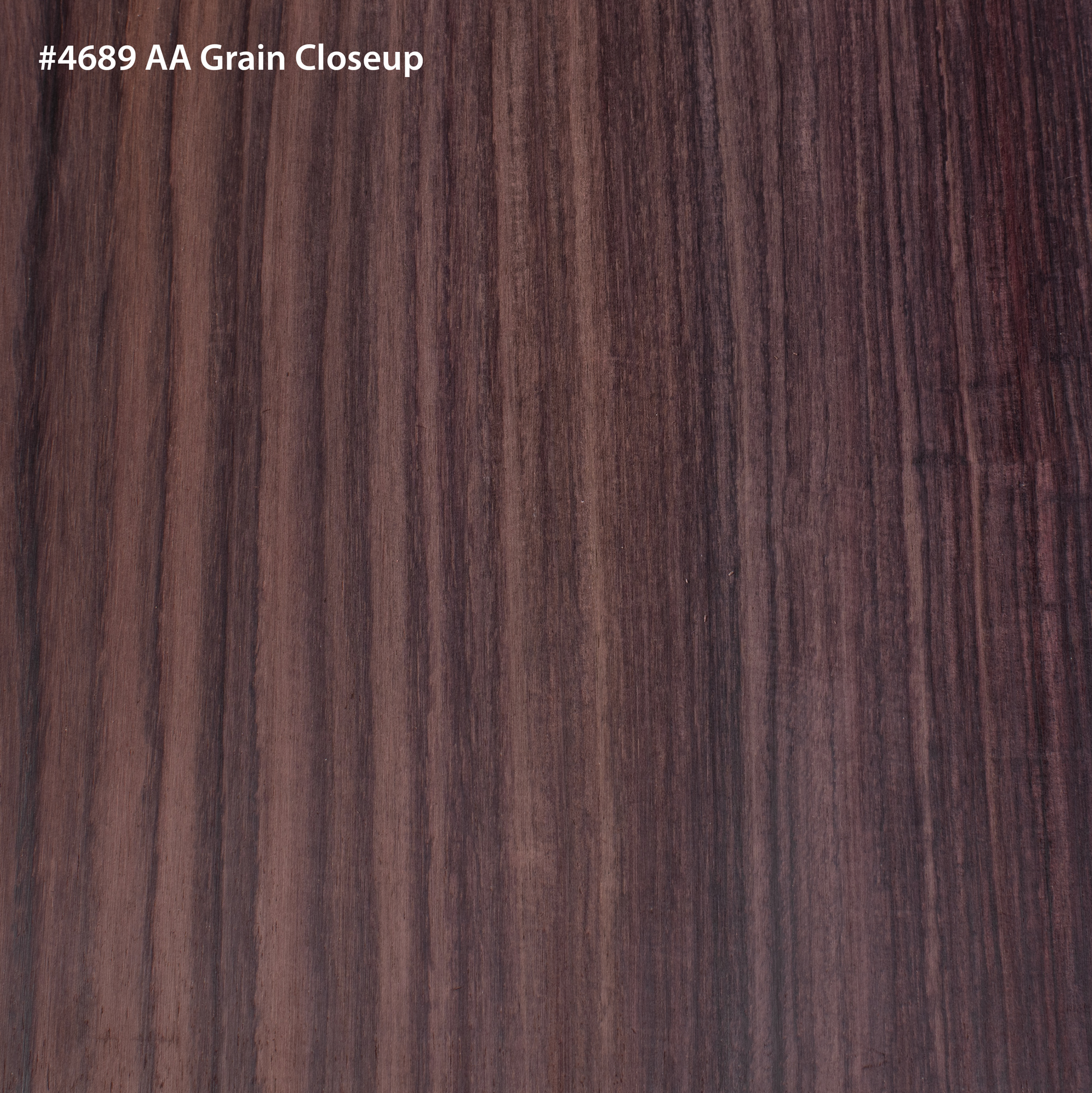 Juego de acompañamiento y parte posterior Indian Rosewood para guitarra Dreadnought