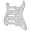Estratega Pickguard, Pearloid / blanco / negro / menta Estratega Pickguard, Pearloid / blanco / negro / menta