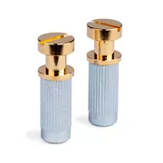 Juego de pasadores/casquillos para Stop Tailpiece, dorado
