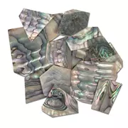 Vacíos con incrustación de perlas - Paquete de 1oz , abulón verde