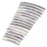 Curvado, filete de abalone verde, 15