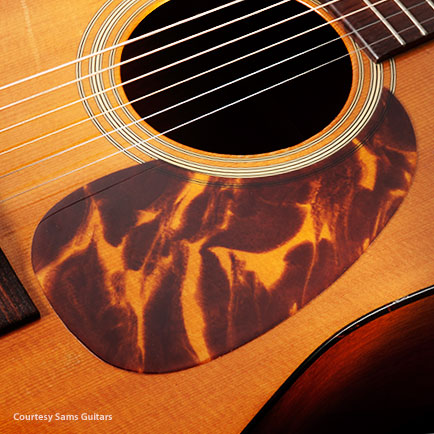 Guarda pickings Tortoloid Acoustic Dreadnought