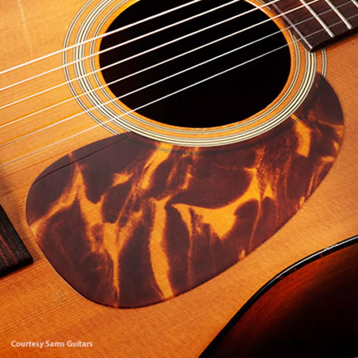 Guarda pickings Tortoloid Acoustic Dreadnought Guarda pickings Tortoloid Acoustic Dreadnought