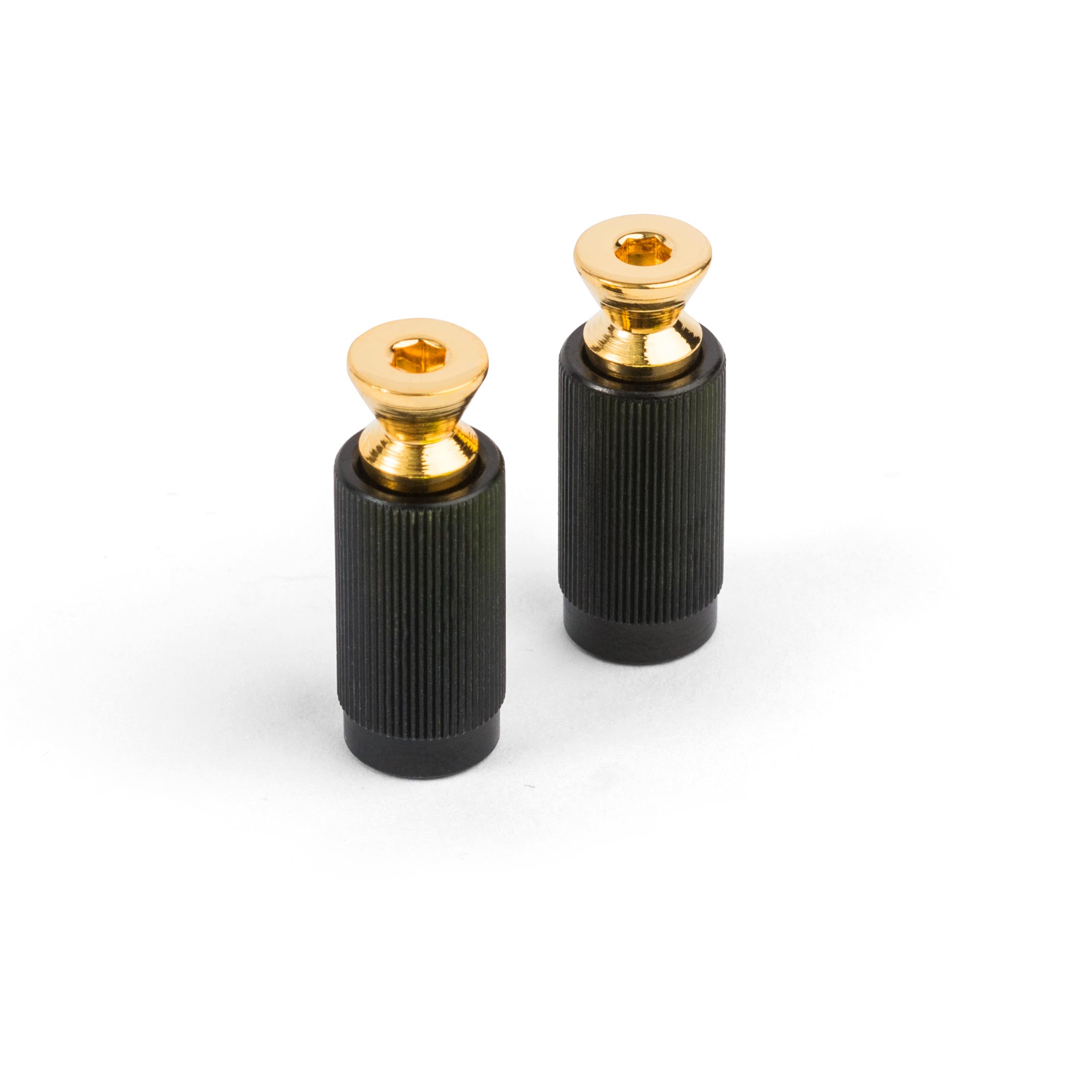 Pernos e insertos de montaje para puente Floyd Rose, dorado, juego de 2