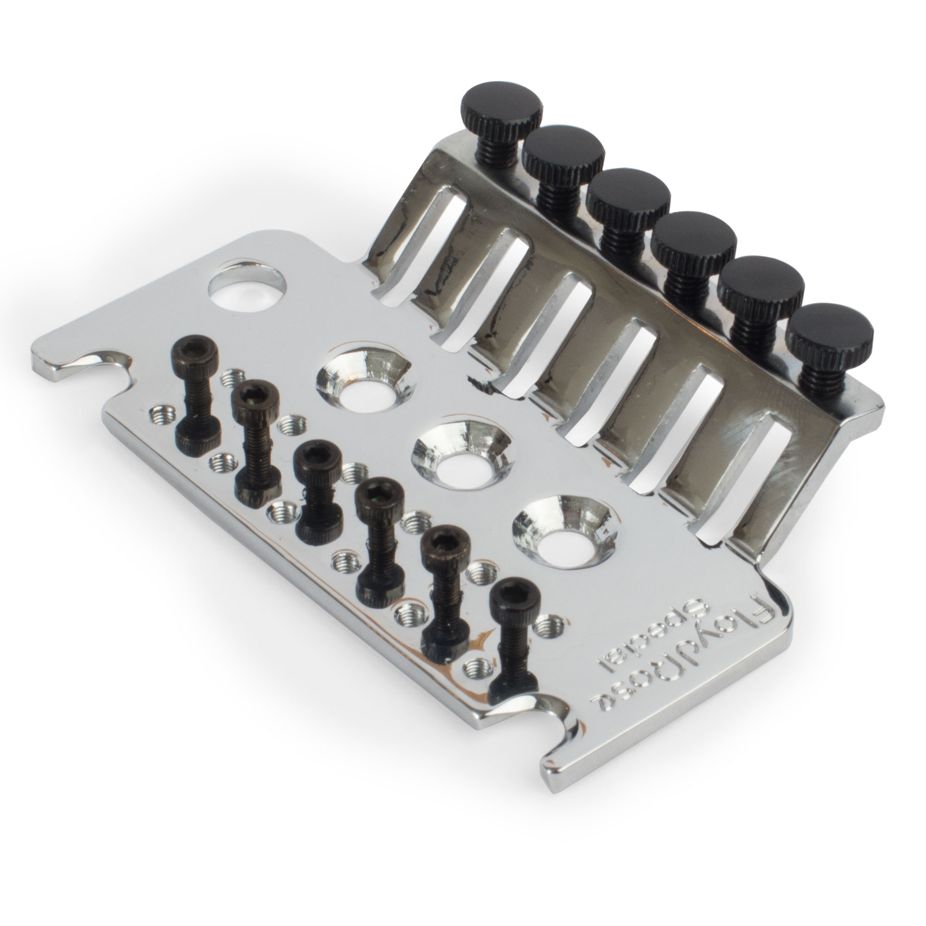 Placa base de la serie especial Floyd Rose con tornillos