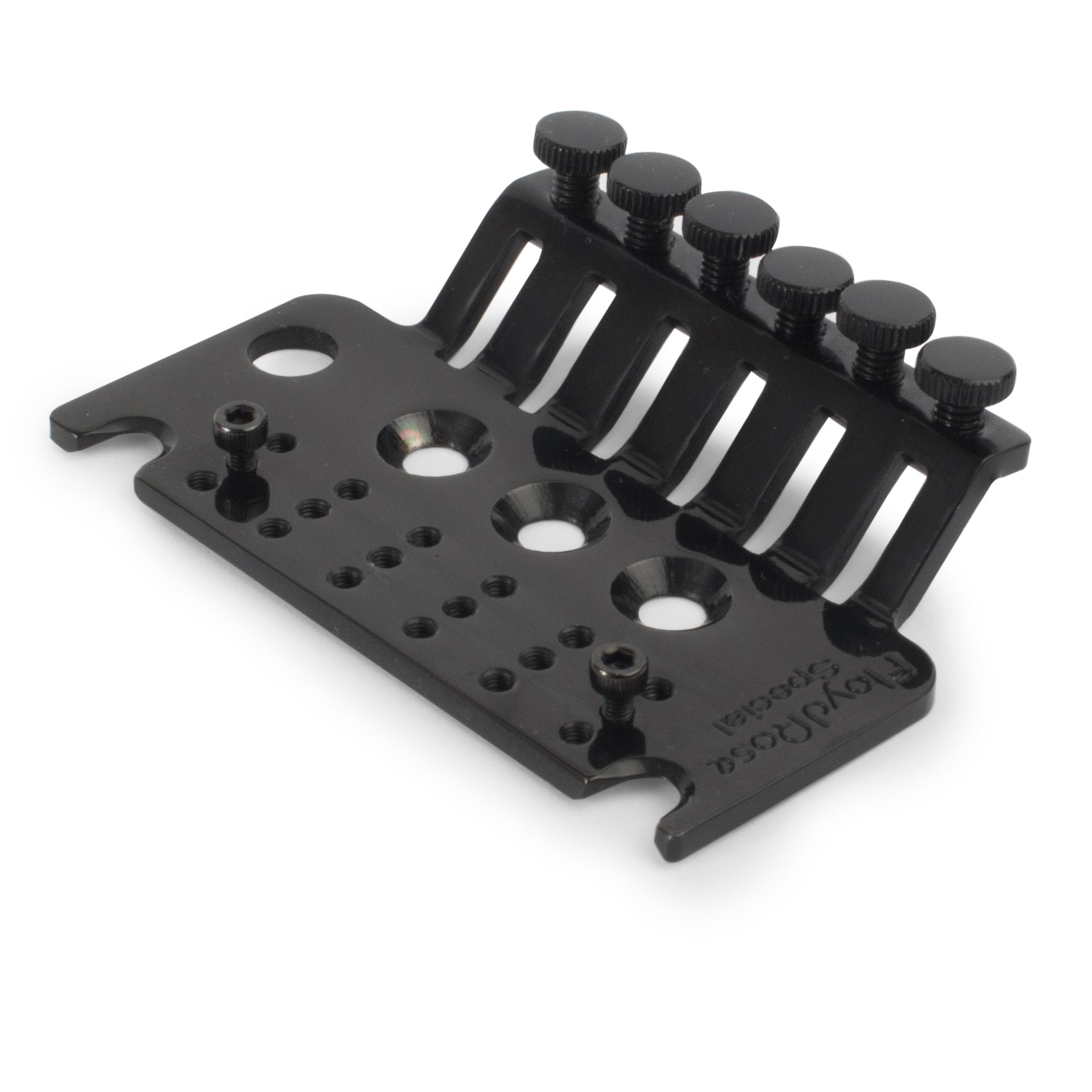 Placa base de la serie especial Floyd Rose con tornillos