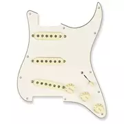 Guardabarros original 57/62 , golpeador Stratocaster precableado, pergamino