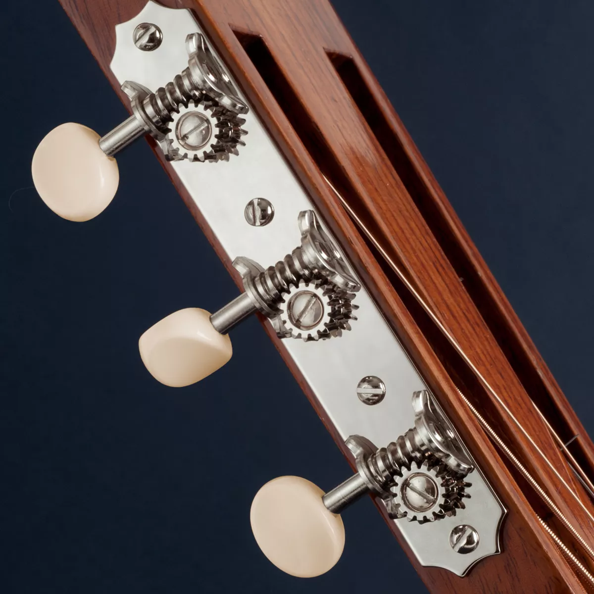 Golden Age Sintonizadores de restauración para guitarra de cabeza de estribo tragamonedas - Scallop-end Golden Age Sintonizadores de restauración para guitarra de cabeza de estribo tragamonedas - Scallop-end
