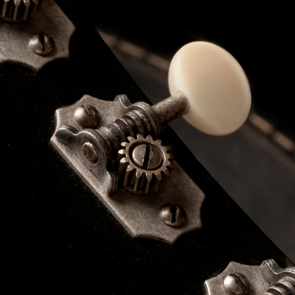 Clavijas de afinación Golden Age de restauración, 3+3