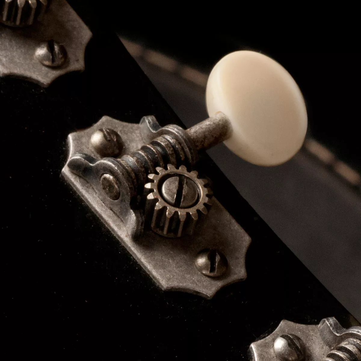 Clavijas de afinación Golden Age de restauración, 3+3 Clavijas de afinación Golden Age de restauración, 3+3