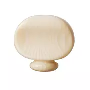 Perillas de clavijero de banjo, ivoroide Galalith
