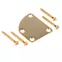 Placa de montaje contorneada para mástil, dorada, con tornillos Placa de montaje contorneada para mástil, dorada, con tornillos