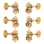 Los clavijeros Waverly Guitar con perillas grabadas para cabezas de tetón sólidas, dorado, 3L/3R Los clavijeros Waverly Guitar con perillas grabadas para cabezas de tetón sólidas, dorado, 3L/3R