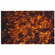 Vacíos del golpeador acústico, Tortoise marrón vintage