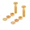 Sistema de bloqueo de pieza trasera de acoplador, dorado - M8 x 1,25, juego de 2 Sistema de bloqueo de pieza trasera de acoplador, dorado - M8 x 1,25, juego de 2