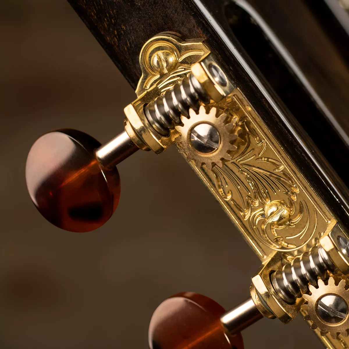 Sintonizadores de guitarra Waverly 3-On-Plate con perillas Tortoise oscura para cabezas de estribo Sintonizadores de guitarra Waverly 3-On-Plate con perillas Tortoise oscura para cabezas de estribo