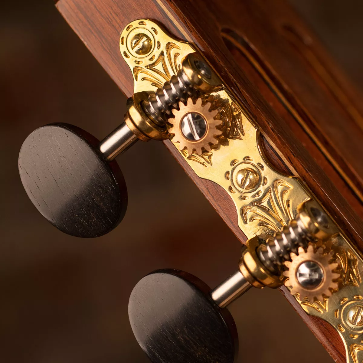 Sintonizadores de guitarra clásica Sloane con perillas de ébano y placas base decorativas Sintonizadores de guitarra clásica Sloane con perillas de ébano y placas base decorativas