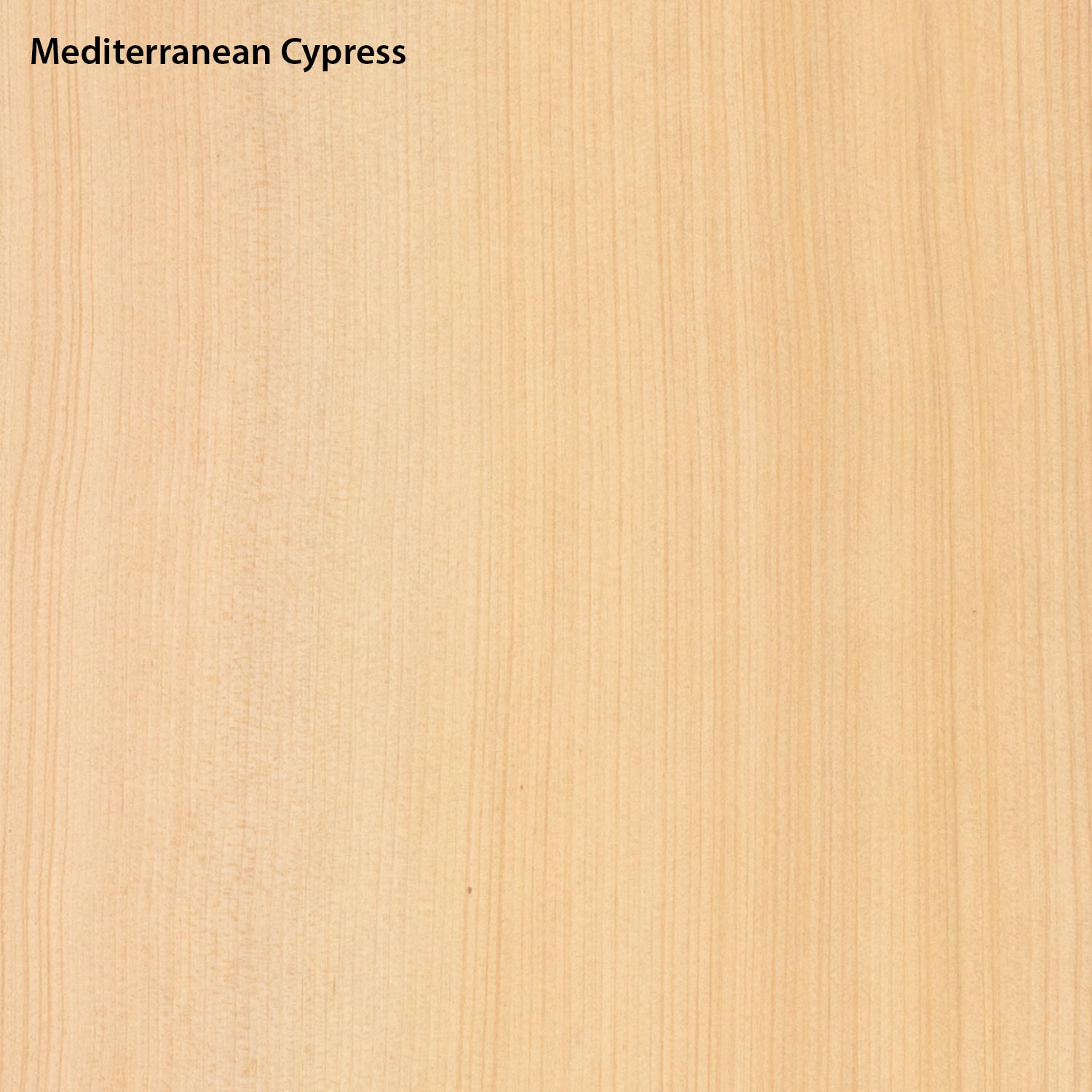 Cypress Set de fondo y aros, Flamenco, sin arena