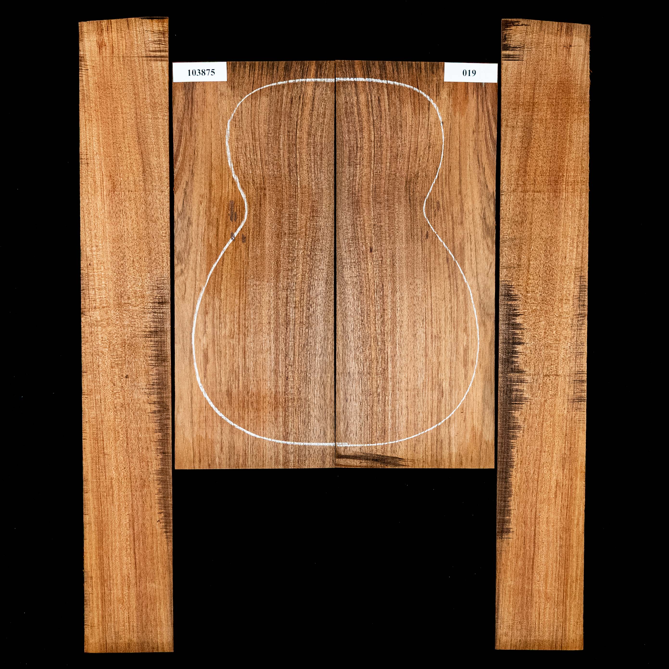 Set de aros y fondo de Blackwood de Tasmania - 019 Set de aros y fondo de Blackwood de Tasmania - 019