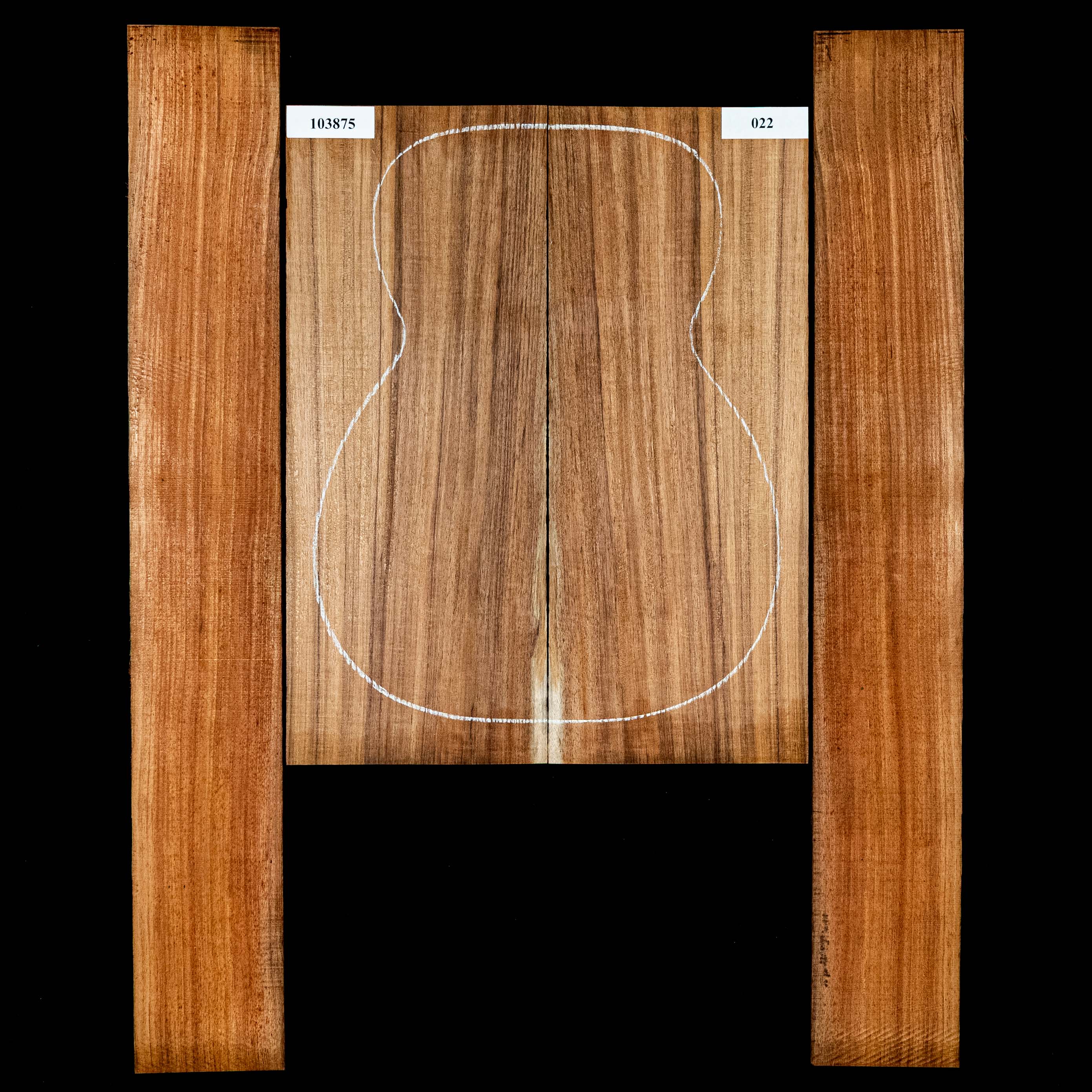 Set de aros y fondo de Blackwood de Tasmania - 022 Set de aros y fondo de Blackwood de Tasmania - 022