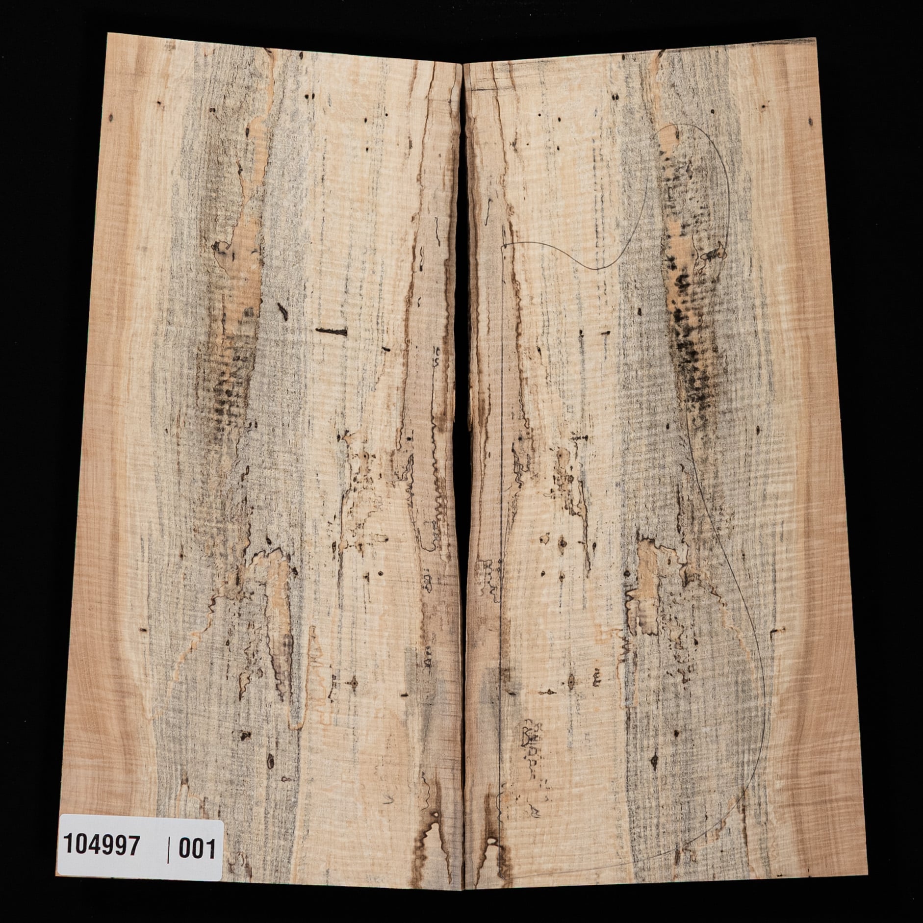 Spalted Curly Tochi Drop Top - 001