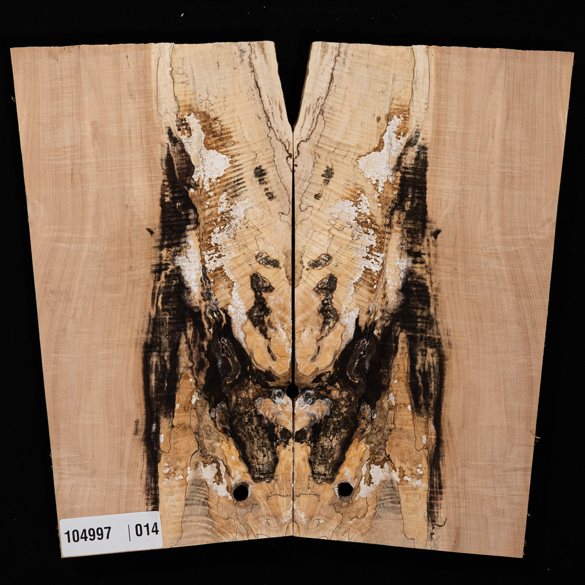 Spalted Curly Tochi Drop Top - 014