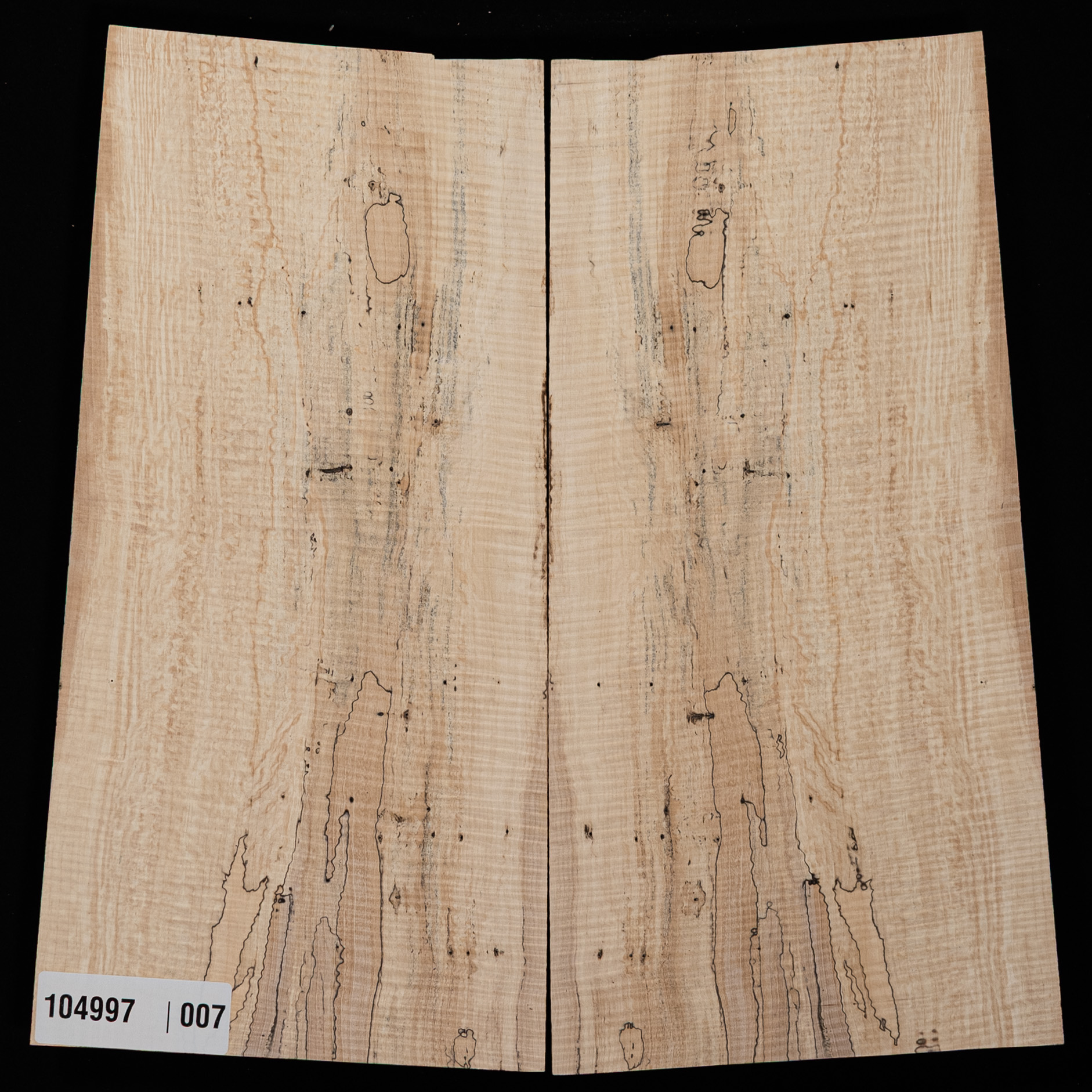 Spalted Curly Tochi Drop Top - 007