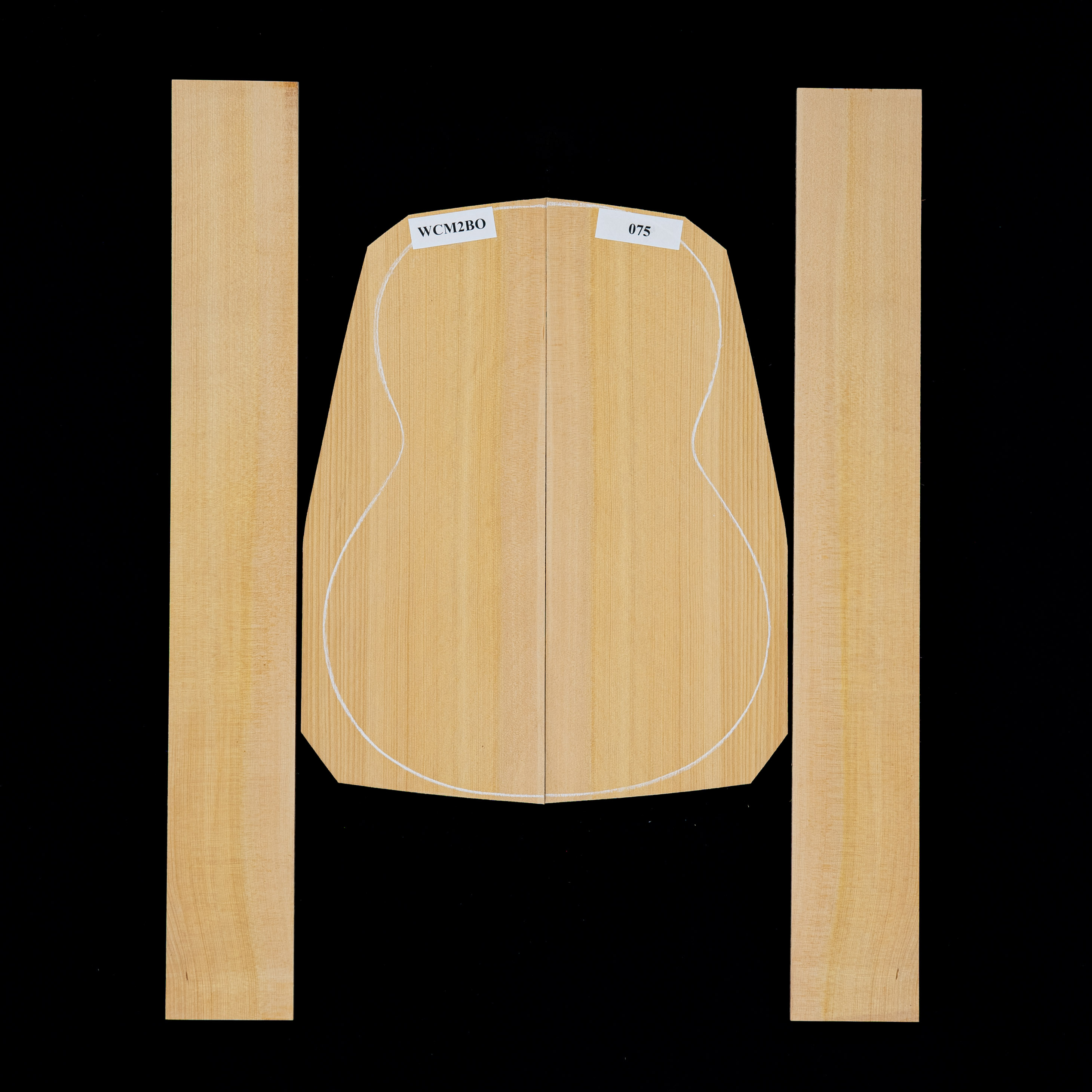 Mediterranean Cypress Set de fondo y aros - 075 Mediterranean Cypress Set de fondo y aros - 075