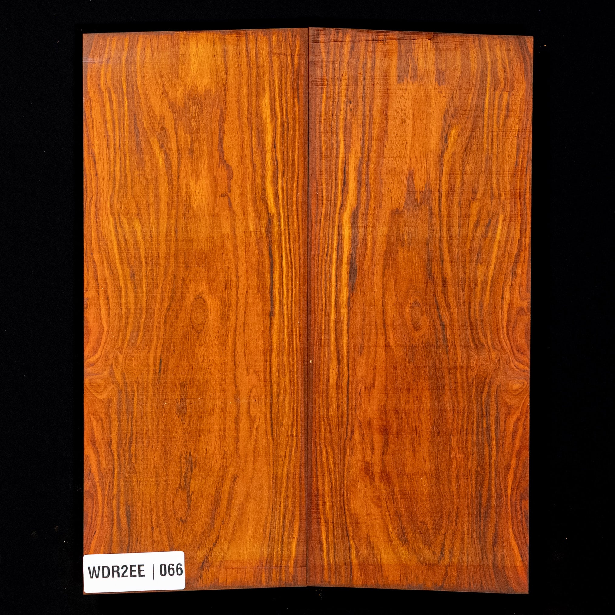 Top caído Cocobolo - 066