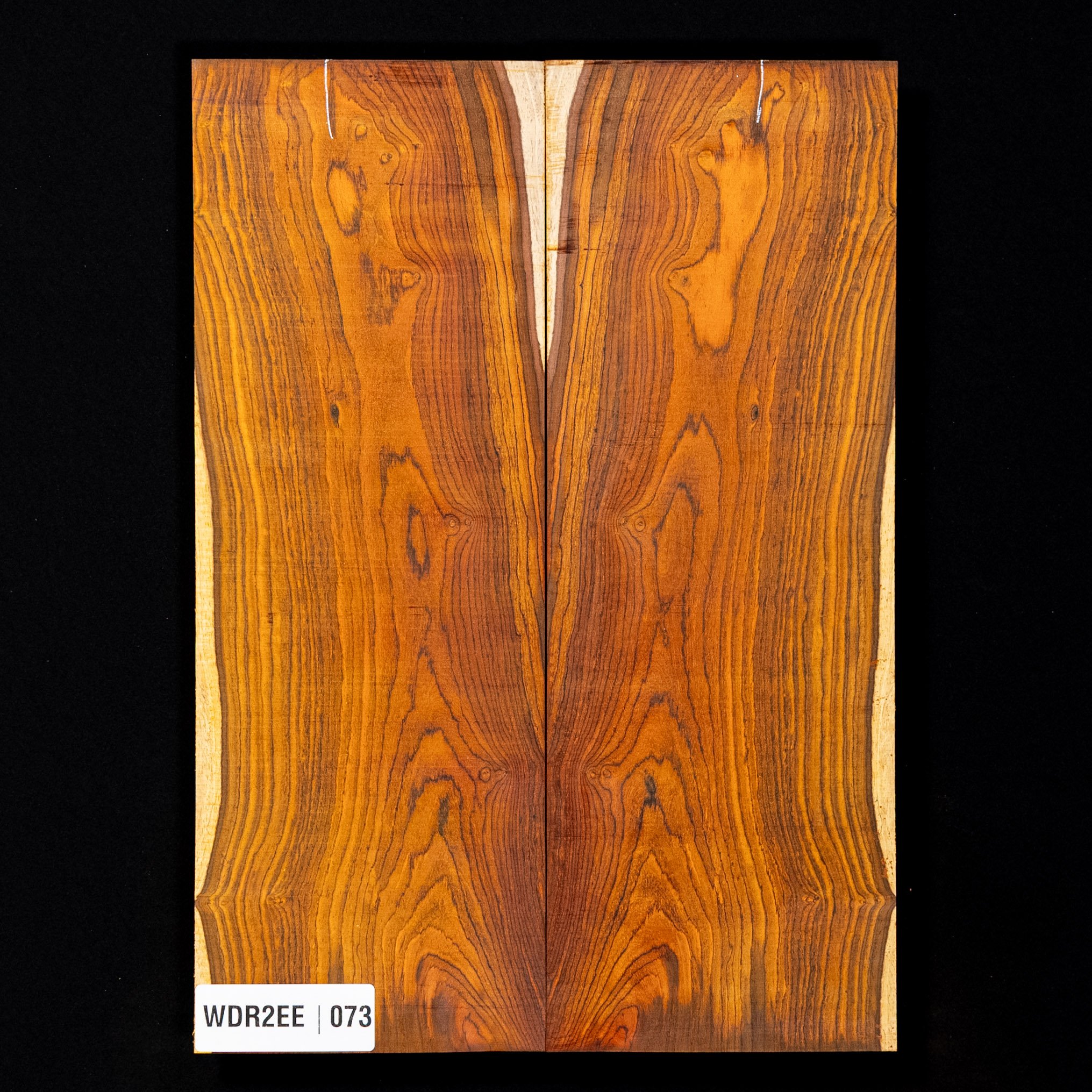 Top caído Cocobolo - 073