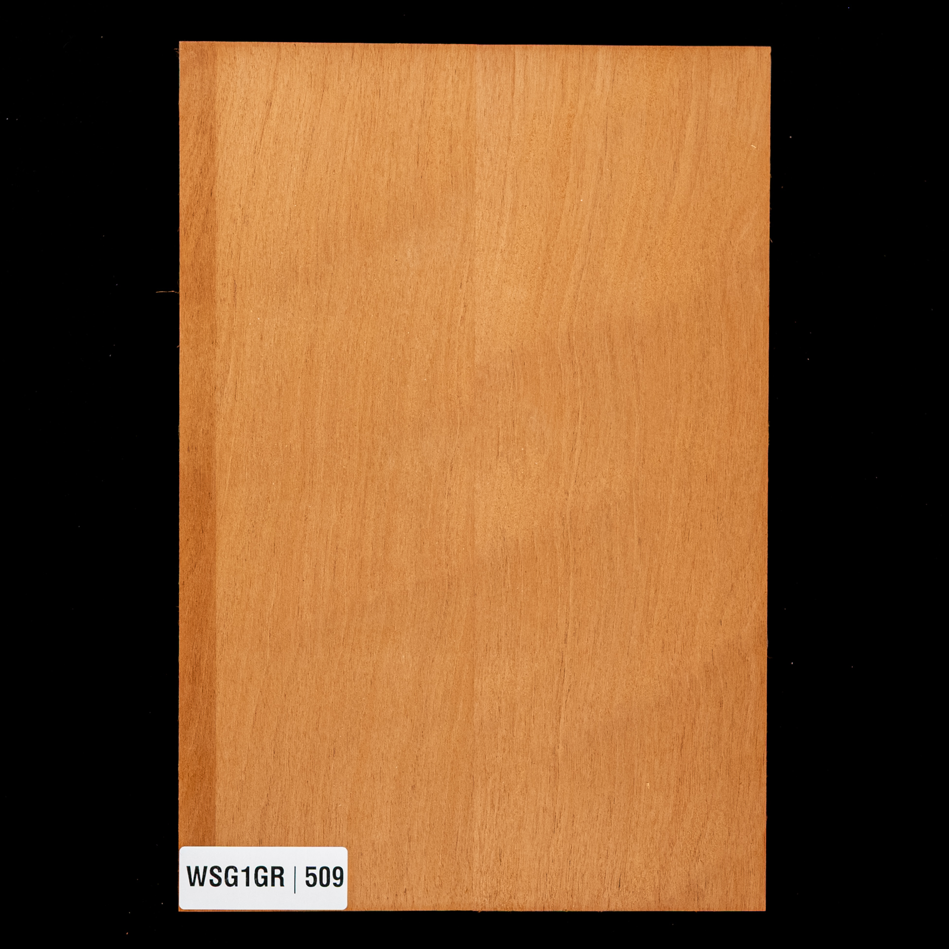 Honduran Mahogany Body Blank, 2-Piece (10.8 lb) - 509