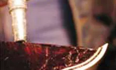 Adición del pegamento Bind-ALL