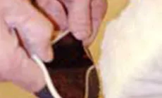 Pulido del protector de recogida