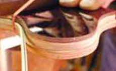 Calentar la binding con una pistola de calor