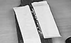 Bridge Saver
