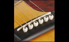 Dibujos animados: zarzamo