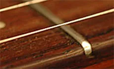 Primer plano del arfón