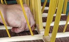 Cepillado cola en escamas