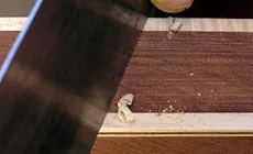 Foto: primer plano del raspador