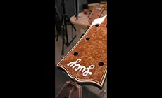 Primer plano de la cabeza del tetón