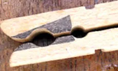 Foto: dónde retirar la madera