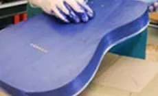 Tinción de la parte posterior del cuerpo