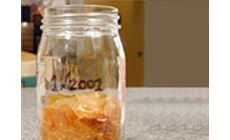 Dry flakes
