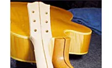 El verdadero color de la caparazón