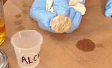 Foto: almohadilla de pulido