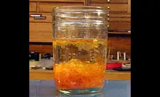 Foto: caparazón adelgazado