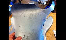 El pelaje metálico se despega