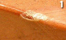 Foto: acabado astillado