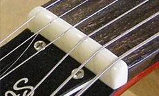 Foto: tuerca de hueso pulida