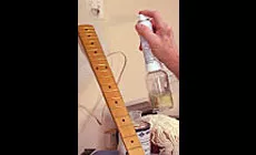 Foto: pulverizar con Preval